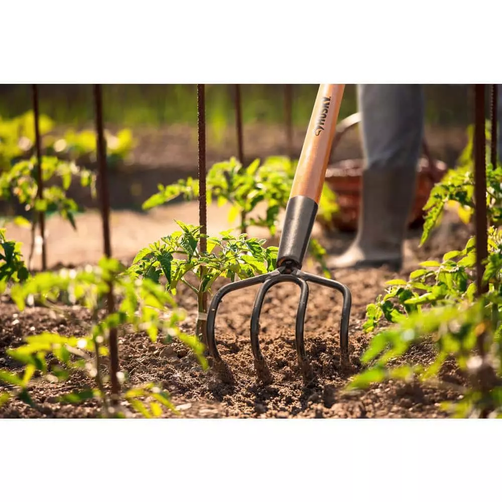 Husky 51 in. L Wood Handle 4-Tine Cultivator 6 Husky 51 in. L Wood Handle 4-Tine Cultivator - Image 4