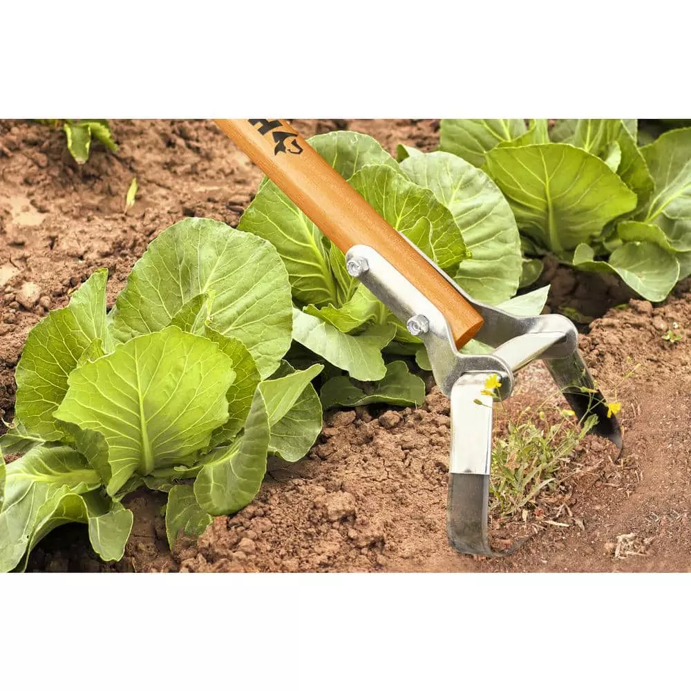 Husky 54 in. L Wood Handle Action Hoe with Grip 6 Husky 54 in. L Wood Handle Action Hoe with Grip - Image 4