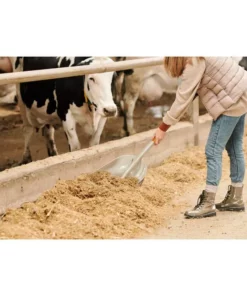 Husky 31 in. Wood Handle D-Grip Plastic Scoop Shovel -FixPro Store husky shovels 77540 945 44 1000